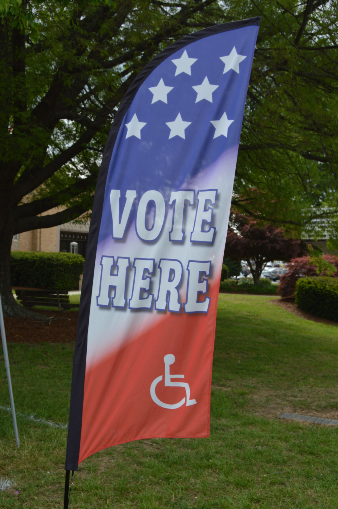 Early Voting 3.JPG